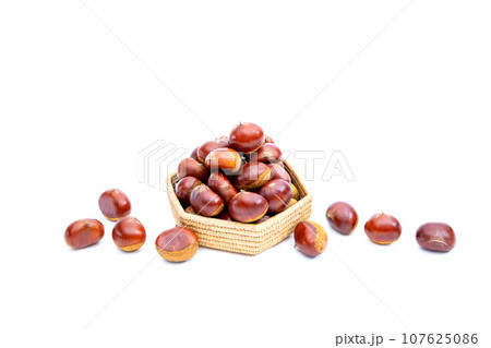 秋 栗 銀寄 能勢 能勢栗 銀寄栗 秋の味覚  107625086