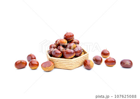 秋 栗 銀寄 能勢 能勢栗 銀寄栗 秋の味覚  107625088