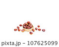 秋 栗 銀寄 能勢 能勢栗 銀寄栗 秋の味覚 秋 栗 銀寄 能勢 能勢栗 銀寄栗 秋の味覚 107625099