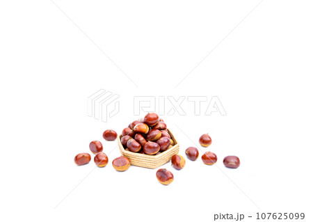 秋 栗 銀寄 能勢 能勢栗 銀寄栗 秋の味覚 秋 栗 銀寄 能勢 能勢栗 銀寄栗 秋の味覚 107625099