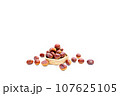 秋 栗 銀寄 能勢 能勢栗 銀寄栗 秋の味覚 秋 栗 銀寄 能勢 能勢栗 銀寄栗 秋の味覚 107625105