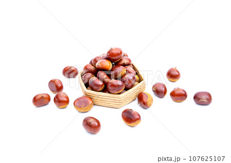 秋 栗 銀寄 能勢 能勢栗 銀寄栗 秋の味覚 秋 栗 銀寄 能勢 能勢栗 銀寄栗 秋の味覚 107625107