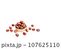 秋 栗 銀寄 能勢 能勢栗 銀寄栗 秋の味覚 秋 栗 銀寄 能勢 能勢栗 銀寄栗 秋の味覚 107625110