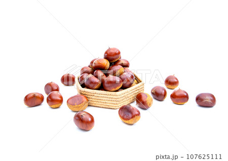 秋 栗 銀寄 能勢 能勢栗 銀寄栗 秋の味覚  107625111