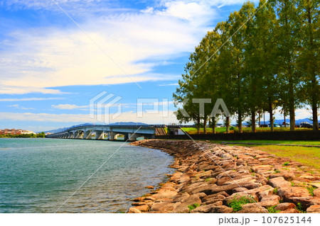 滋賀県大津市・大津湖岸なぎさ公園周辺（近江大橋） 107625144