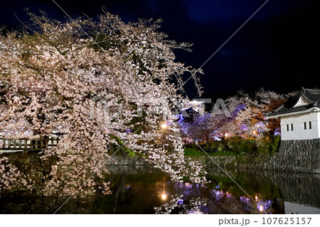 関東地方・小田原城・夜桜・お堀端通りから眺める水鏡が美しいしだれ桜と天守閣・神奈川県小田原市()5 関東地方・小田原城・夜桜・お堀端通りから眺める水鏡が美しいしだれ桜と天守閣・神奈川県小田原市()5 107625157