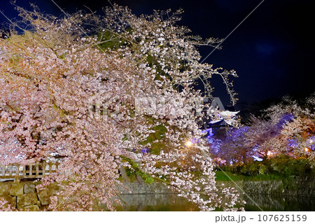 関東地方・小田原城・夜桜・お堀端通りから眺める水鏡が美しいしだれ桜と天守閣・神奈川県小田原市(7) 関東地方・小田原城・夜桜・お堀端通りから眺める水鏡が美しいしだれ桜と天守閣・神奈川県小田原市(7) 107625159