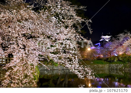 関東地方・小田原城・夜桜・お堀端通りから眺める水鏡が美しいしだれ桜と天守閣・神奈川県小田原市(18) 107625170