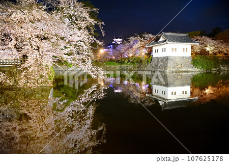 関東地方・小田原城・夜桜・お堀端通りから眺める水鏡が美しいしだれ桜と天守閣・神奈川県小田原市(26) 関東地方・小田原城・夜桜・お堀端通りから眺める水鏡が美しいしだれ桜と天守閣・神奈川県小田原市(26) 107625178