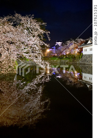 関東地方・小田原城・夜桜・お堀端通りから眺める水鏡が美しいしだれ桜と天守閣・神奈川県小田原市(39) 関東地方・小田原城・夜桜・お堀端通りから眺める水鏡が美しいしだれ桜と天守閣・神奈川県小田原市(39) 107625191