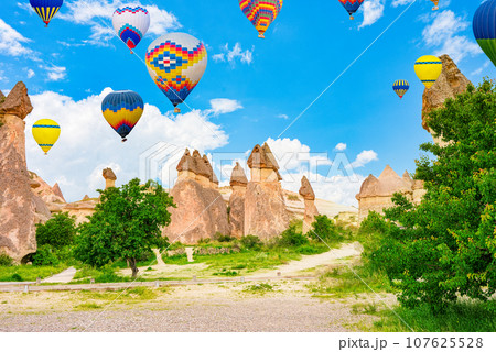 Fly of air balloons in Unique natural place - Cappadocia , Turkiye. 107625528