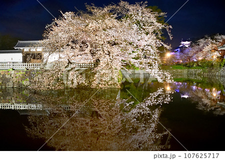 関東地方・小田原城・夜桜・お堀端通りから眺める水鏡のしだれ桜と天守閣・神奈川県小田原市(41) 107625717