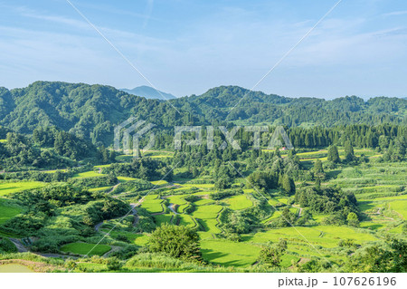 新潟県十日町市　緑が美しい夏の星峠の棚田 107626196