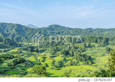 新潟県十日町市　緑が美しい夏の星峠の棚田 107626197