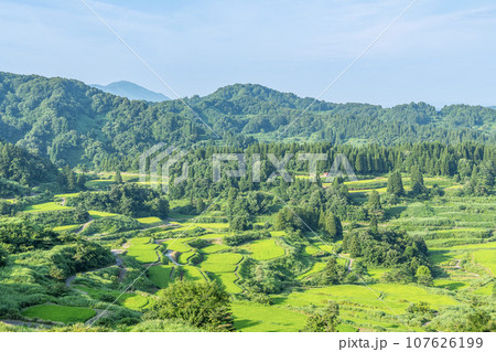 新潟県十日町市　緑が美しい夏の星峠の棚田 107626199