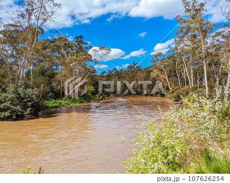 Yarra River Flooding in Warrandyte Australia 107626254