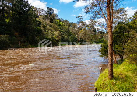 Yarra River Flooding in Warrandyte Australia Yarra River Flooding in Warrandyte Australia 107626266