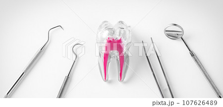 Dental concept with dentist tools on white background, top view 107626489