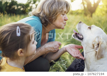 Gray-haired grandmother and cute little granddaughter are walking their dogs together in the park. 107627194