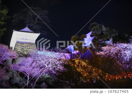 関東地方・小田原城・夜桜・ライトアップされた常盤木門を登城ルートから見上げる・神奈川県小田原市(6) 関東地方・小田原城・夜桜・ライトアップされた常盤木門を登城ルートから見上げる・神奈川県小田原市(6) 107627405