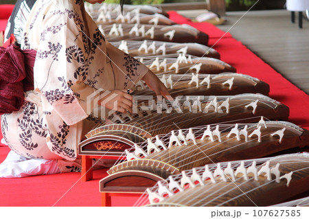 琴 演奏 着物 浴衣 107627585