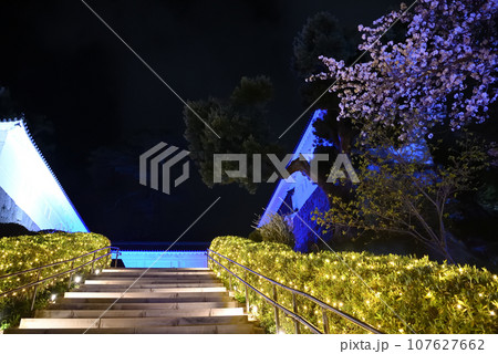 関東地方・小田原城・夜桜・常盤木門に登る階段、ライトアップに彩られた風景・神奈川県小田原市(12) 107627662