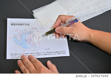 犬の僧帽弁閉鎖不全症、薬の説明をする獣医師　心臓病　動物病院 107627899