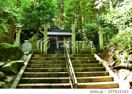 南足柄市　大雄山最乗寺境内の奥之院参道入口 107628163