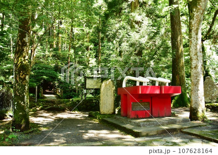 南足柄市　大雄山最乗寺境内の高下駄と明神岳ハイキングコース入口 107628164