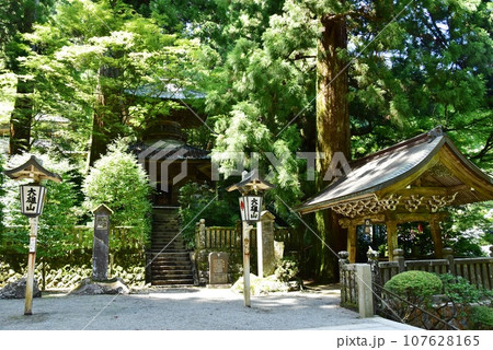 南足柄市　大雄山最乗寺境内の多宝塔と手水舎 107628165