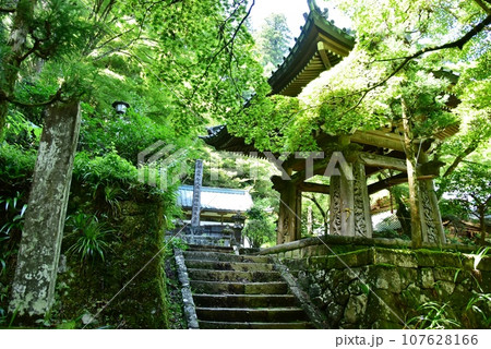 南足柄市　大雄山最乗寺境内の鐘楼 107628166