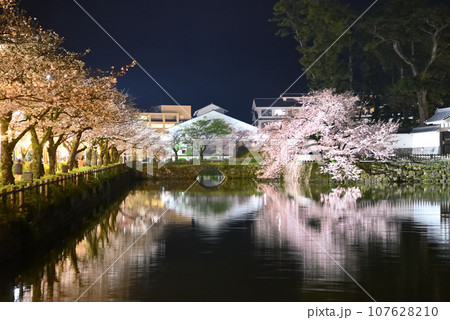 関東地方・小田原城・夜桜・学橋より見る馬出門土橋としだれ桜、水鏡の美しい夜景・神奈川県小田原市(5) 107628210