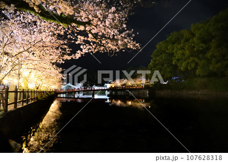 関東地方・小田原城・夜桜・小田原駅や繁華街からお城へ向かうお堀端通りの様子・神奈川県小田原市(5) 関東地方・小田原城・夜桜・小田原駅や繁華街からお城へ向かうお堀端通りの様子・神奈川県小田原市(5) 107628318