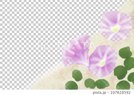 浜昼顔の花のカード3 浜昼顔の花のカード3 107628592