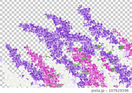 醉魚草花卡 2 107628596