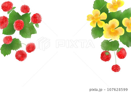 蛇苺（ヘビイチゴ）の花と実のカード9 107628599