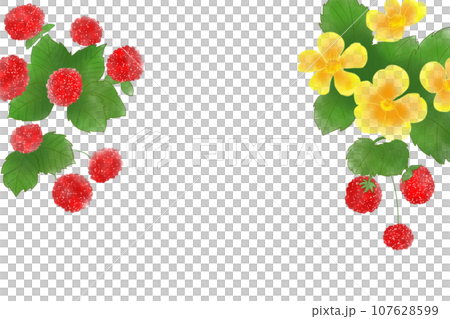 蛇一鄉花果卡9 107628599