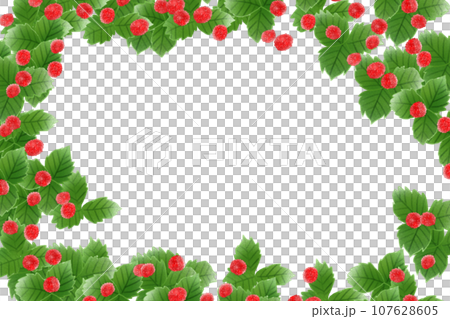 蛇草莓果卡1 107628605