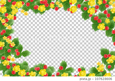 Hebiichigo flower and fruit card 3 107628606