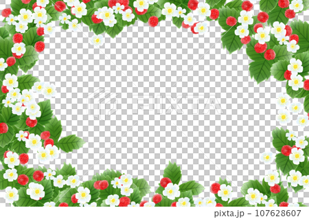 Hebiichigo flower and fruit card 4 107628607