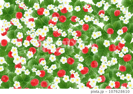 蛇苺(ヘビイチゴ)の花と実のカード7 蛇苺(ヘビイチゴ)の花と実のカード7 107628610