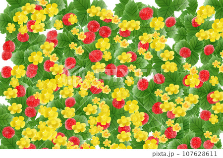 蛇苺(ヘビイチゴ)の花と実のカード8 蛇苺(ヘビイチゴ)の花と実のカード8 107628611