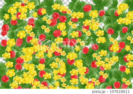 Hebiichigo flower and fruit card 8 107628611