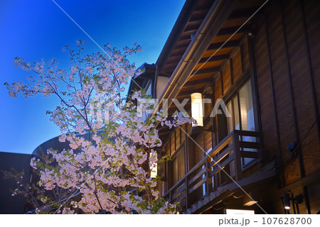 関東地方・夜桜・小田原城のお花見とセットで楽しめる、小田原駅のお城通り周辺の風景(10) 関東地方・夜桜・小田原城のお花見とセットで楽しめる、小田原駅のお城通り周辺の風景(10) 107628700