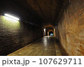 レトロなトンネル 107629711