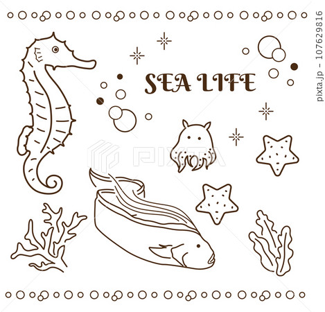 海の動物シンプルセット 107629816
