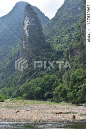 中国桂林の世界遺産 漓江下りで見る山水画の景色 107630965