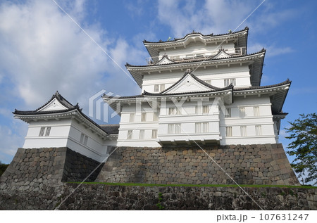 小田原城 天守閣 107631247