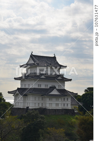 小田原城 天守閣 小田原城 天守閣 107631477