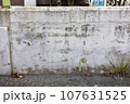 A shabby old wall, a wall in the countryside 107631525